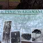 Lone Pine Tree Sign